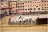 Prove di Addestramento Mattutine: la gallery di Benedetta Aucone